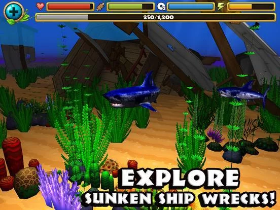 Изображение игры: Wildlife Simulator: Shark