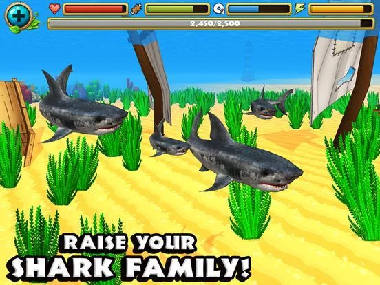 Изображение игры: Wildlife Simulator: Shark