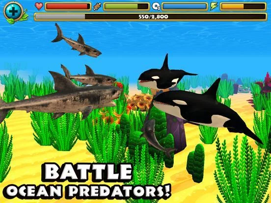 Изображение игры: Wildlife Simulator: Shark