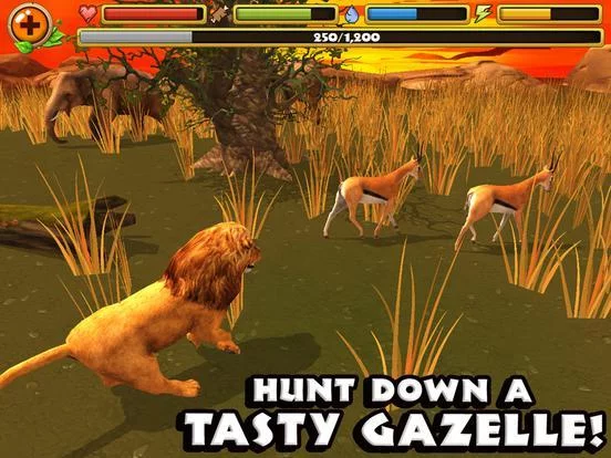 Изображение игры: Safari Simulator: Lion