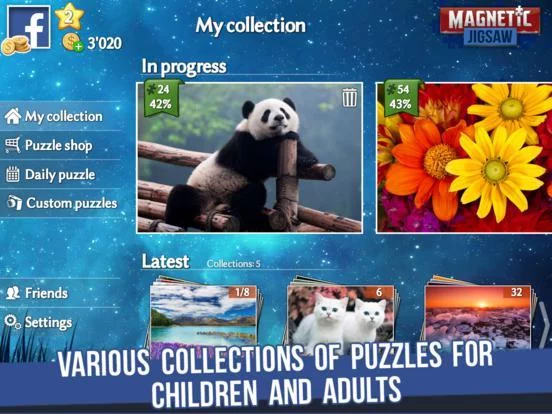 Изображение игры: Magnetic Jigsaw
