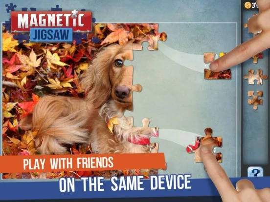 Изображение игры: Magnetic Jigsaw