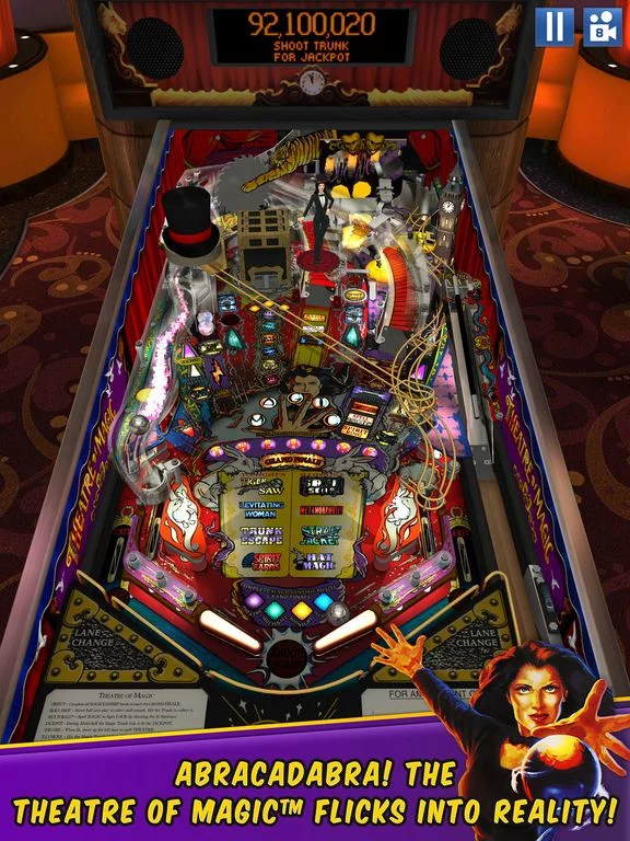 Изображение игры: Williams Pinball