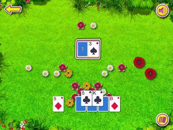 Изображение игры: Summer Solitaire The Card Game