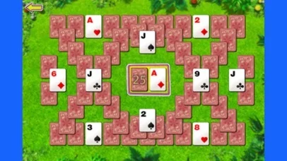 Изображение игры: Summer Solitaire – The Beautiful Card Game