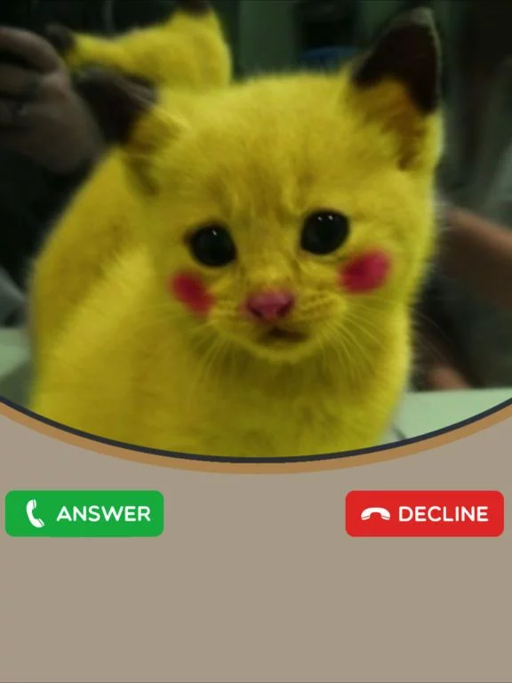 Изображение игры: Cat Calling You! Fake Calls