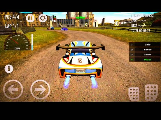 Изображение игры: Rally Driver Race