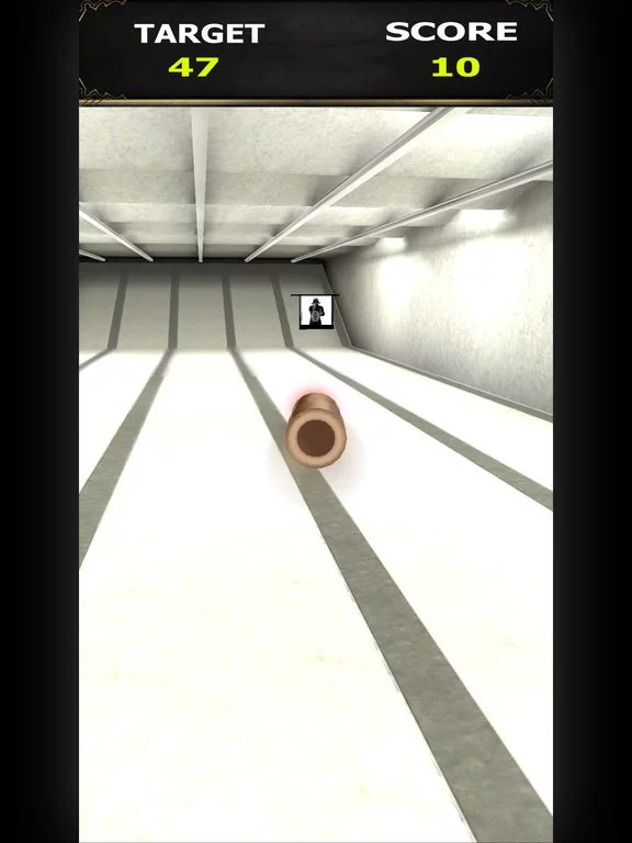 Изображение игры: Extreme Shooting Range