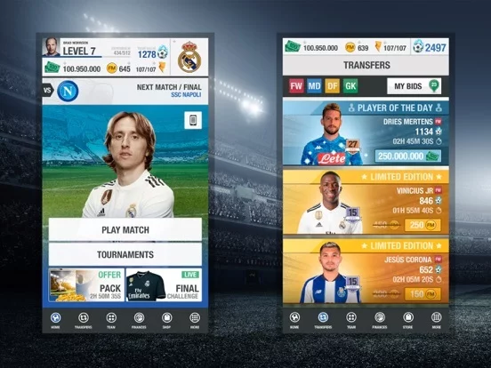 Изображение игры: Fantasy Manager Soccer 2019