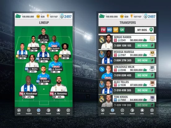 Изображение игры: Fantasy Manager Soccer 2019