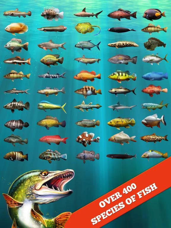 Изображение игры: Let's Fish:Sport Fishing Games