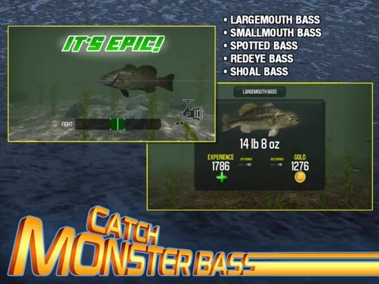 Изображение игры: Master Bass Angler: Fishing