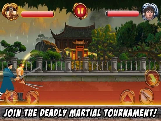 Изображение игры: Death Dragon Fighting