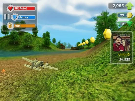 Изображение игры: Wings on Fire
