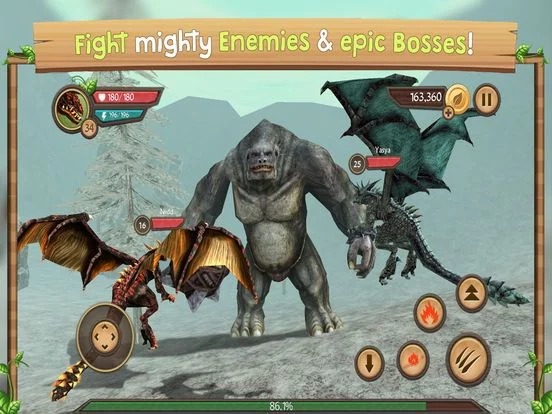 Изображение игры: Dragon Sim Online