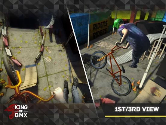 Изображение игры: King Of BMX