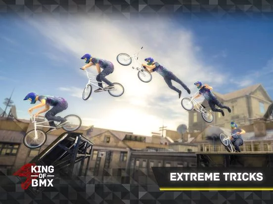 Изображение игры: King Of BMX
