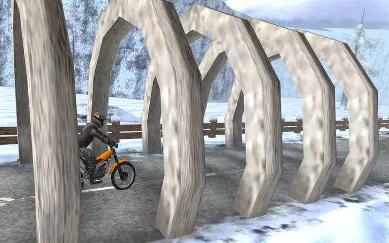 Изображение игры: Trial Xtreme 2 Winter Edition