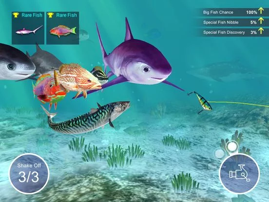 Изображение игры: Fishing Strike