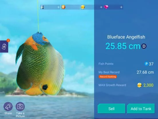 Изображение игры: Fishing Strike