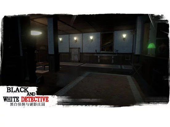 Изображение игры: White and black detective