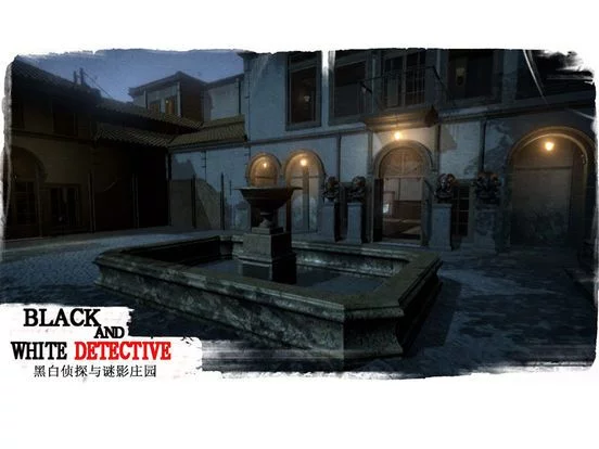 Изображение игры: White and black detective