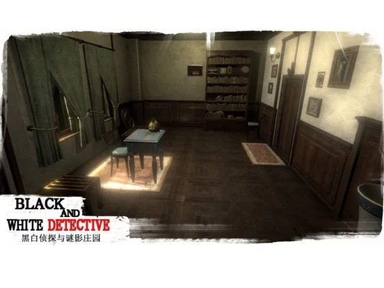 Изображение игры: White and black detective