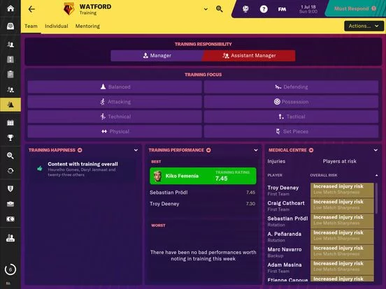 Изображение игры: Football Manager 2019 Touch