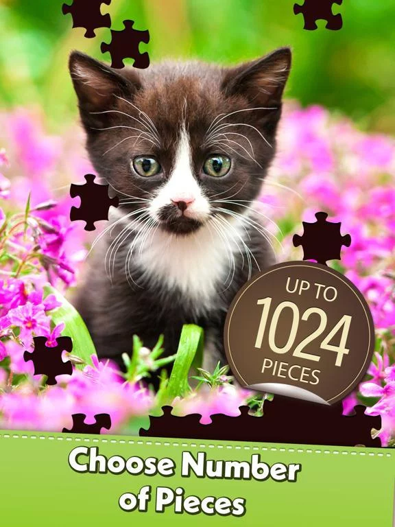 Изображение игры: Jigsaw Puzzle Pro