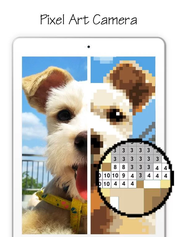 Изображение игры: Coloring Life -Number Coloring