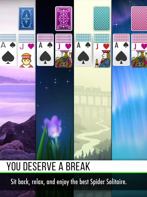 Изображение игры: Spider Solitaire ٭