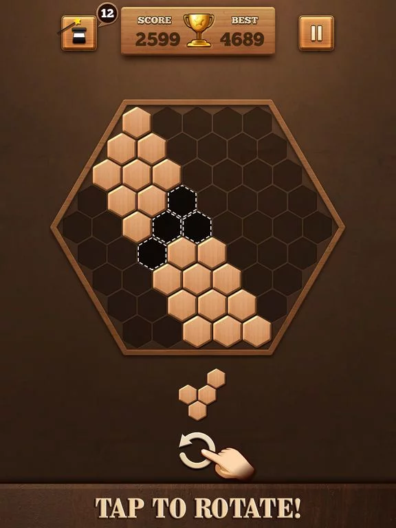Изображение игры: Wooden Hexagon Fit: Hexa Block
