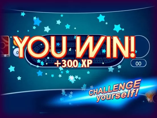 Изображение игры: Ultimate Cribbage: The Classic