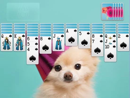 Изображение игры: ⋆Spider Solitaire
