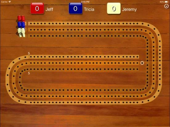 Изображение игры: Cribbage Pegboard