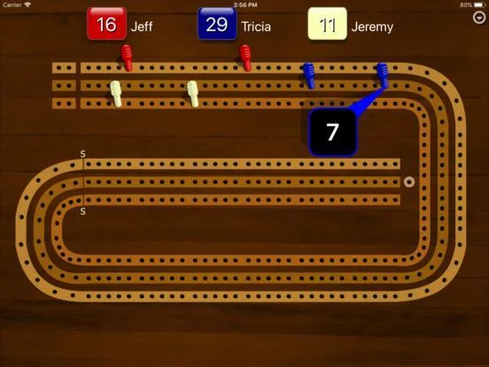Изображение игры: Cribbage Pegboard