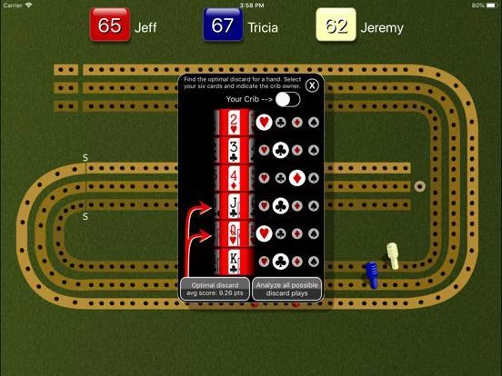 Изображение игры: Cribbage Pegboard
