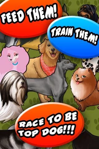 Изображение игры: Dog Racer