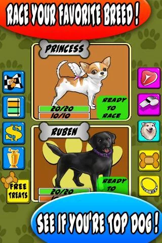 Изображение игры: Dog Racer