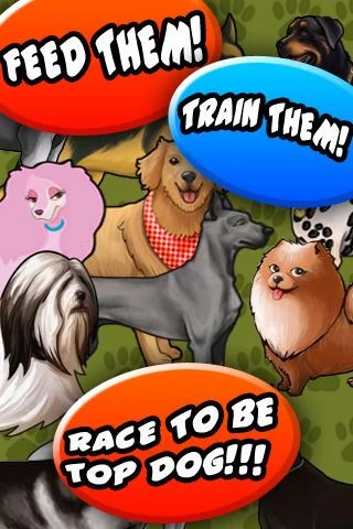 Изображение игры: Dog Racer