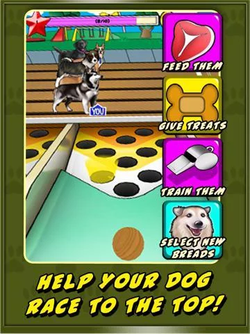 Изображение игры: Dog Racer for iPad