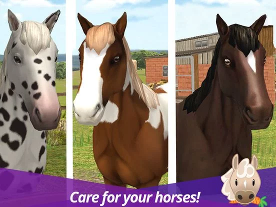 Изображение игры: Show Jumping Premium