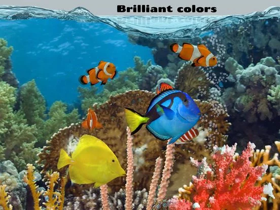 Изображение игры: Fish Farm 2