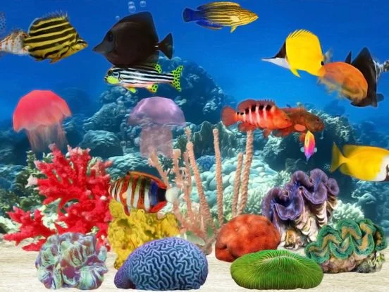 Изображение игры: Fish Farm