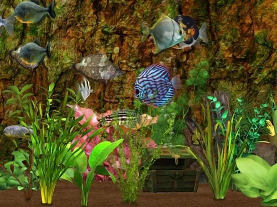 Изображение игры: Fish Farm