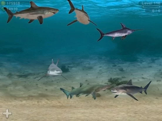 Изображение игры: Fish Farm