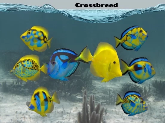Изображение игры: Fish Farm 2