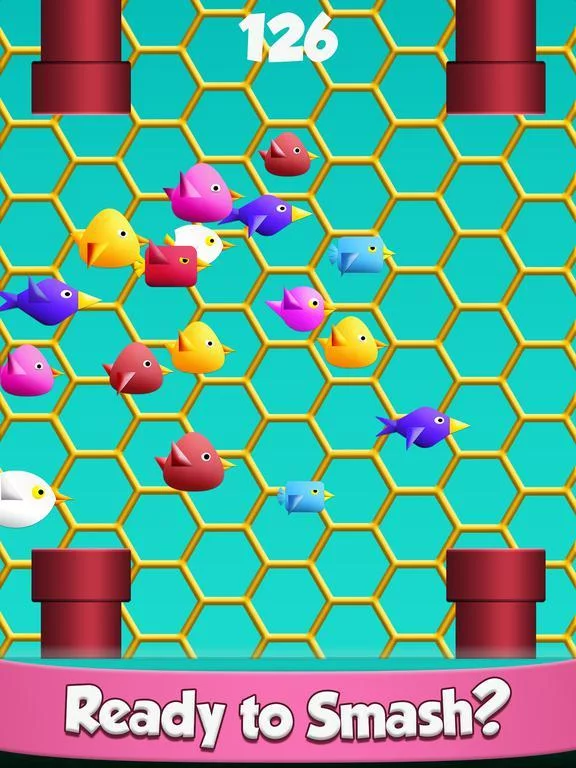 Изображение игры: Cool Birds Game - Fun Smash