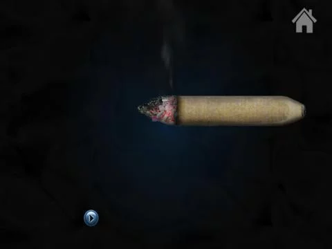 Изображение игры: iRoll Up the Rolling and Smoking Simulator Game
