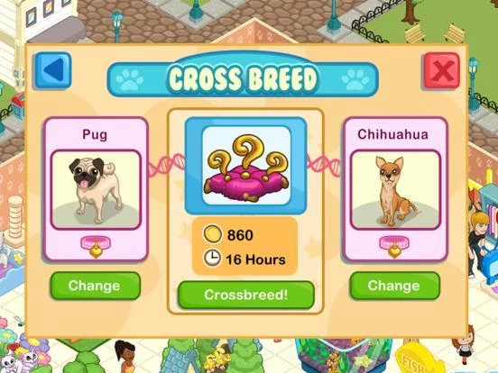 Изображение игры: Pet Shop Story